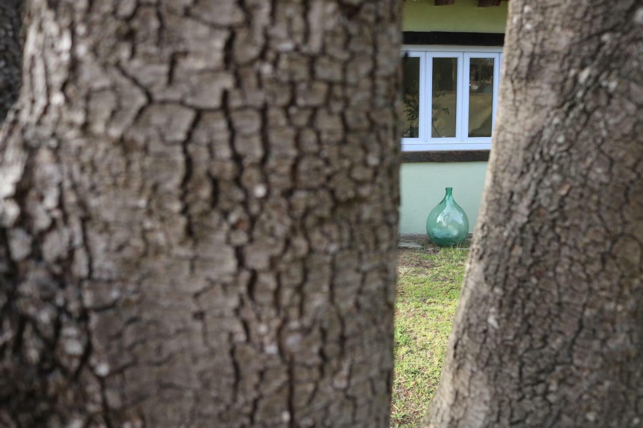 Lo Chalet Dell'Artista Торе дел Лаго Пучини Екстериор снимка